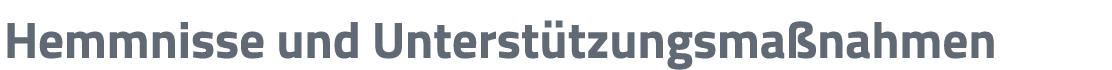 Hemmnisse und Unterst tzungsma nahmen 