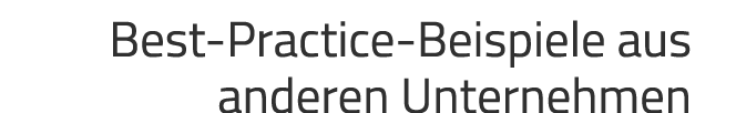 Best-Practice-Beispiele aus anderen Unternehmen